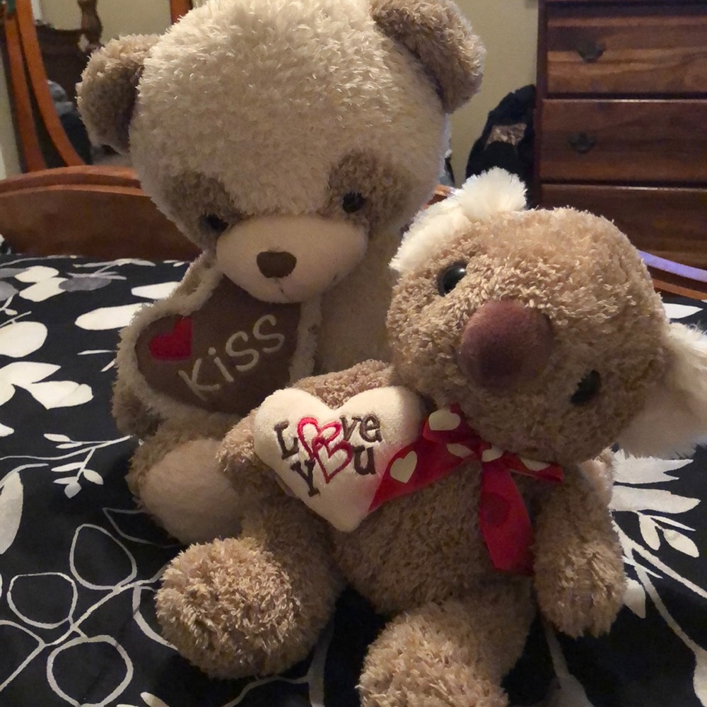 Two Teddy Bears
